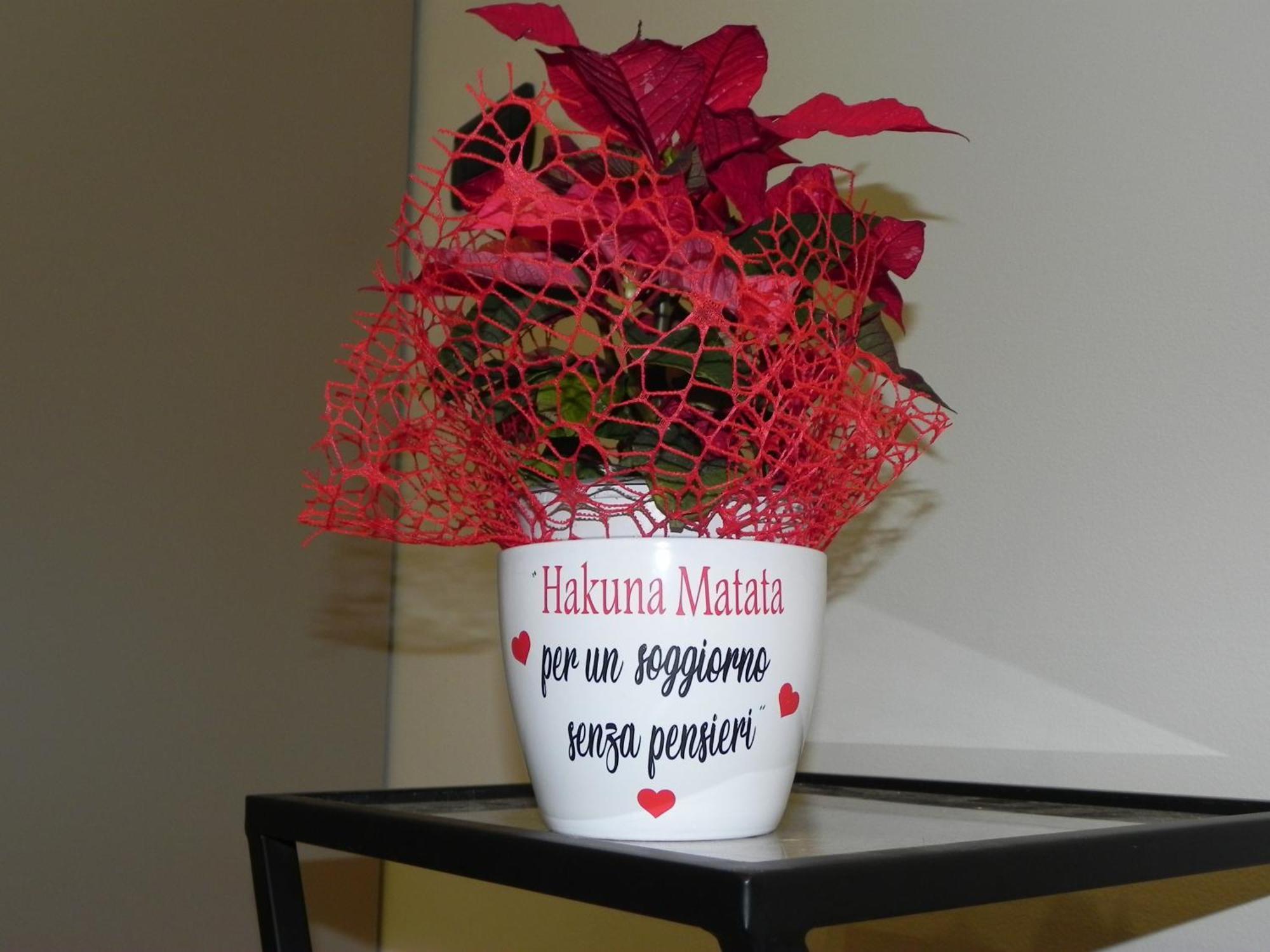 Hakuna Matata B&B Pescara Eksteriør bilde