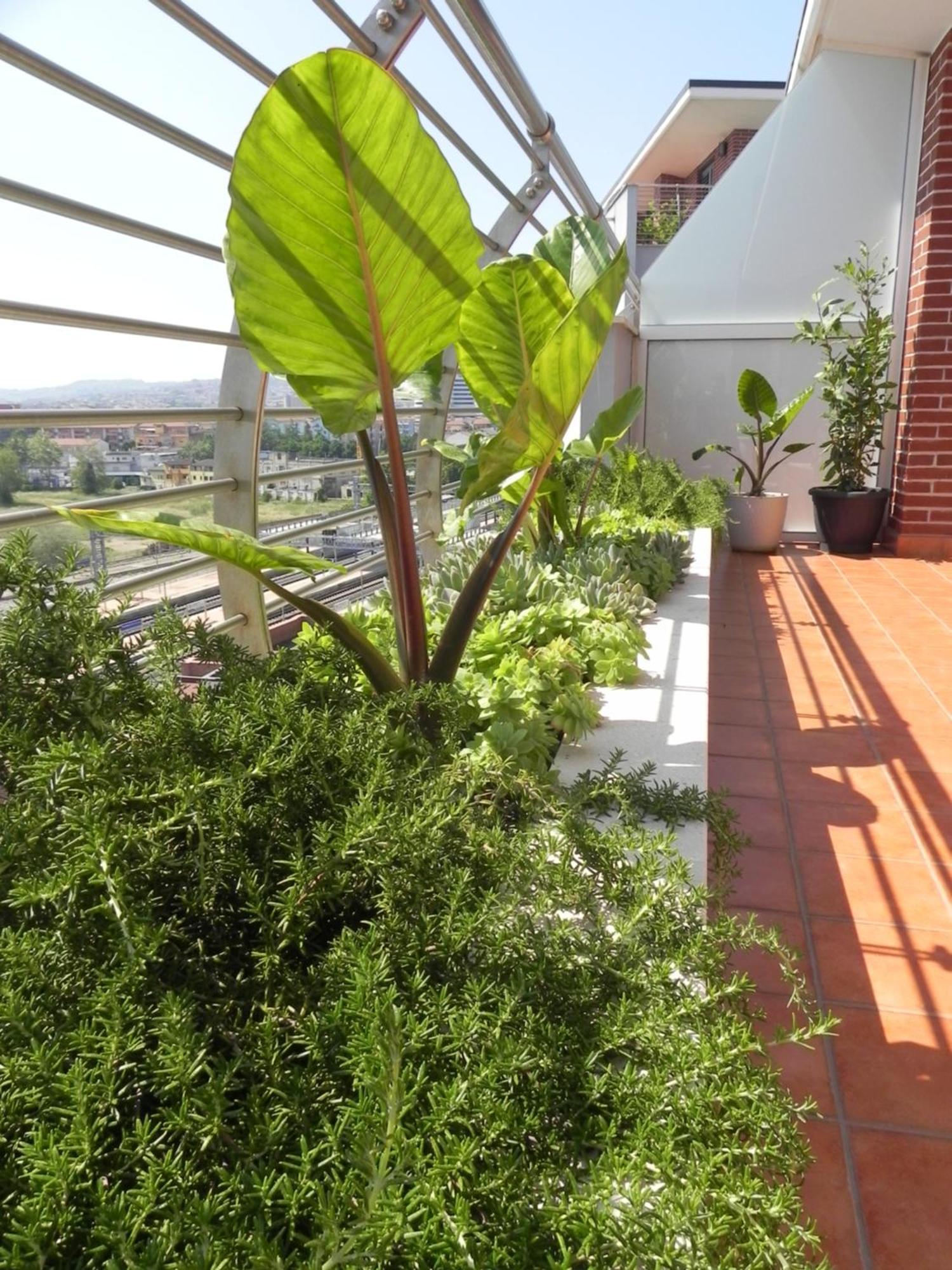 Hakuna Matata B&B Pescara Eksteriør bilde