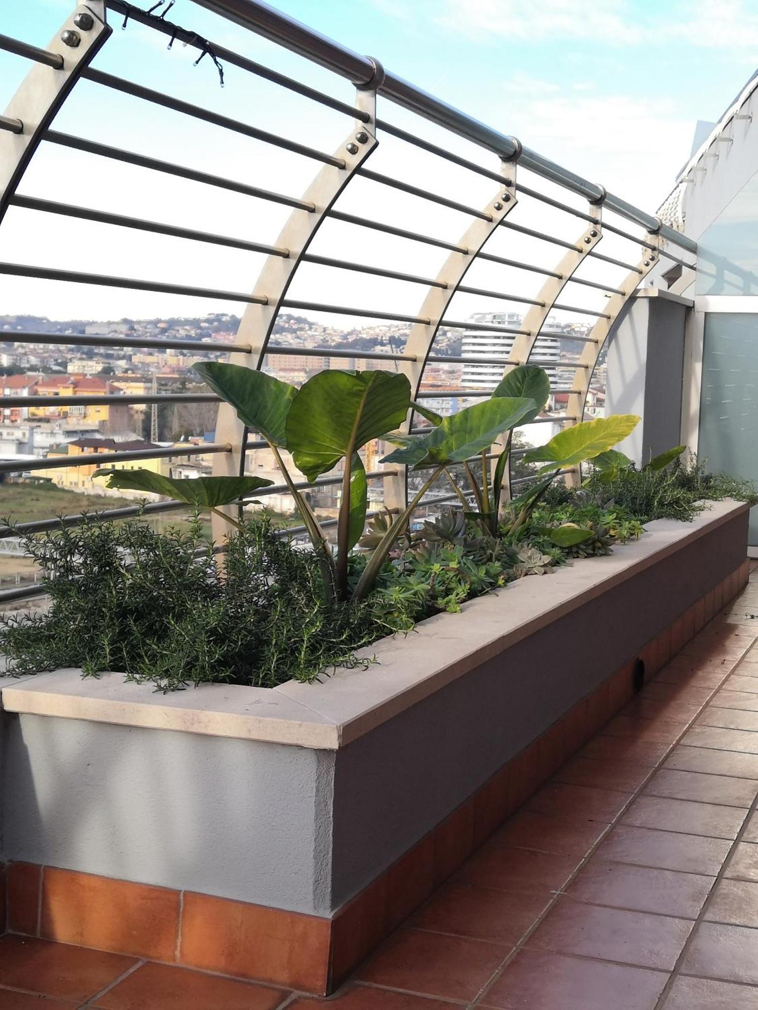 Hakuna Matata B&B Pescara Eksteriør bilde