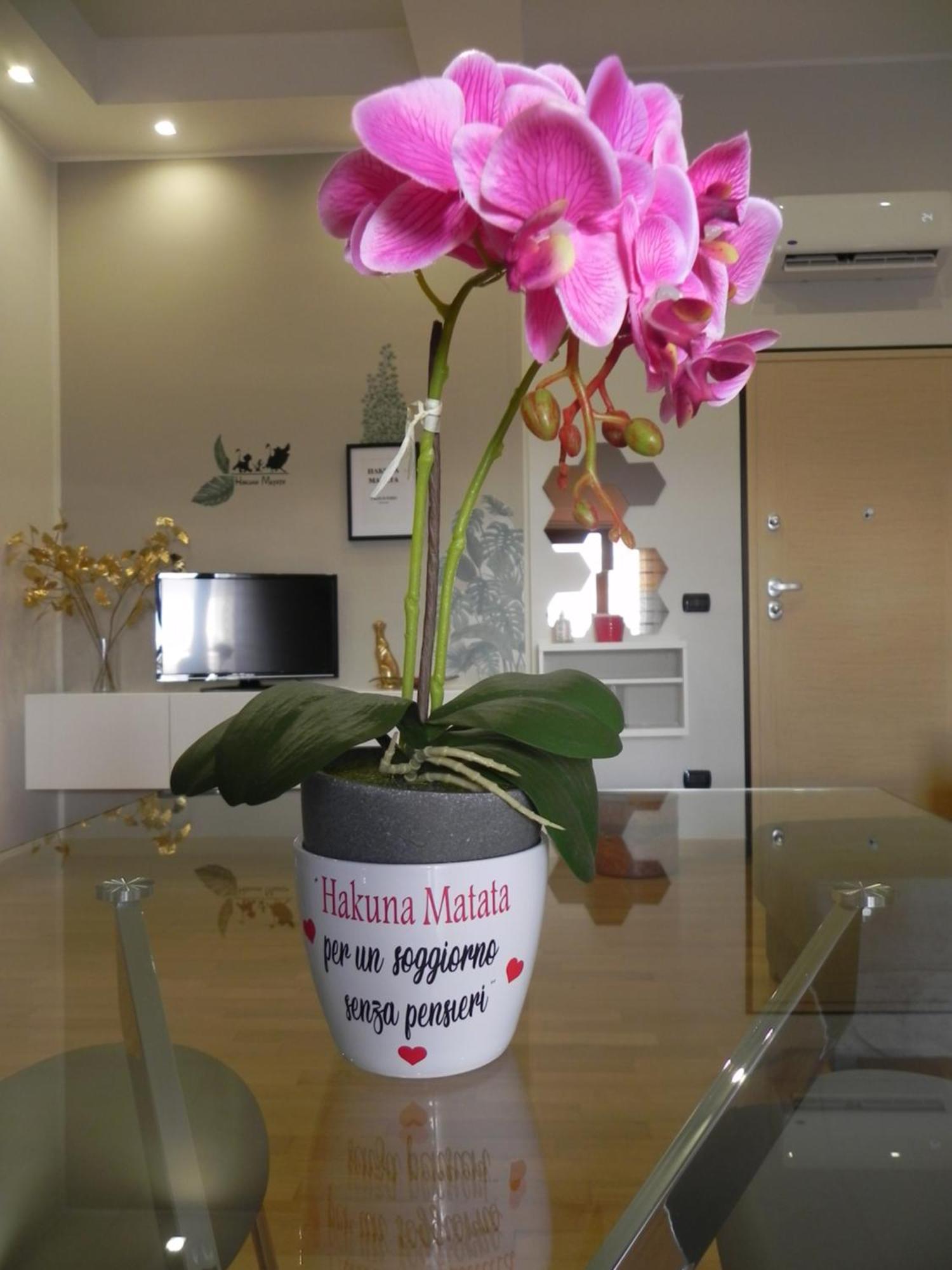 Hakuna Matata B&B Pescara Eksteriør bilde