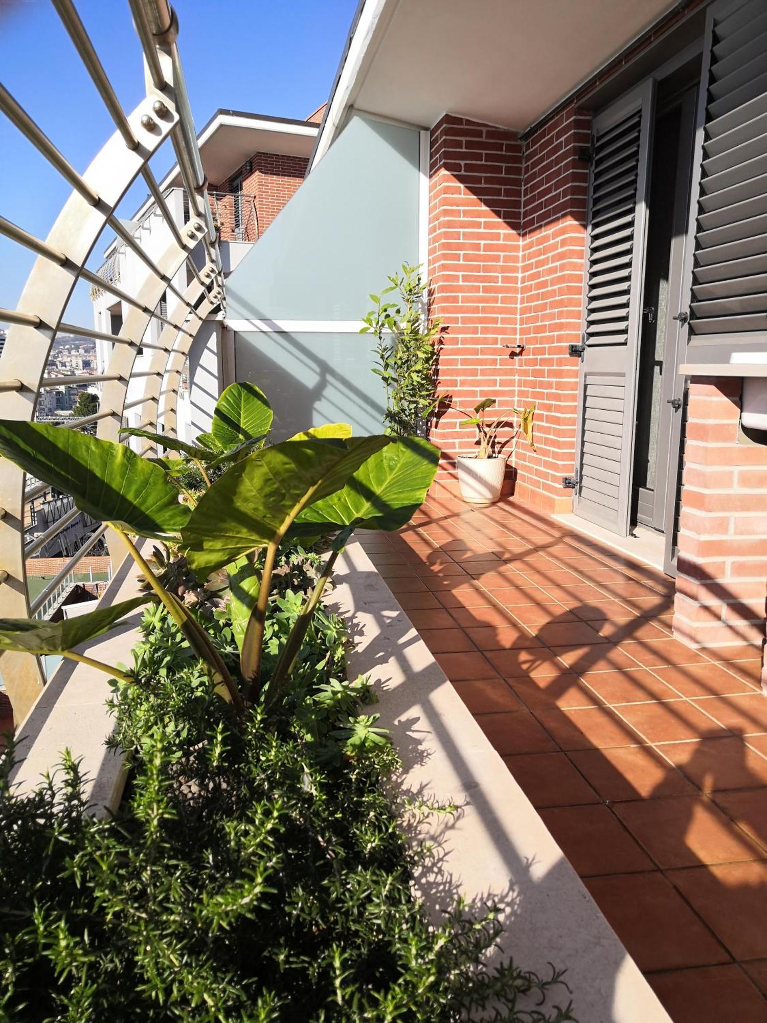 Hakuna Matata B&B Pescara Eksteriør bilde